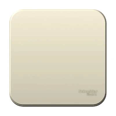 BLANCA одноклавишный выключатель наружный (cх.1) с изолирующей пластиной, 6а, 250в, молочный Systeme Electric BLNVA061012