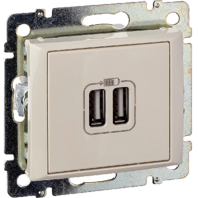 VALENA Розетка двойная USB слоновая кость Legrand 774170