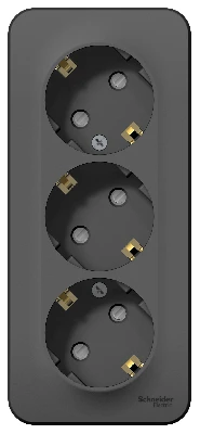 Розетка BLANCA наружная трехпостовая, с заземлением, со шторками, с изолирующей пластиной, 16А, 250В, антрацит Systeme Electric BLNRA011316