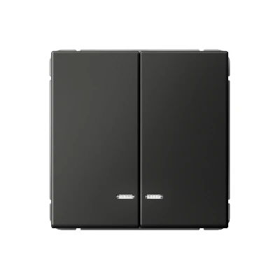 ARTGALLERY 2-клавишный выключатель с подсветкой, сх.5а, 10АХ, механизм, базальт Systeme Electric GAL001453