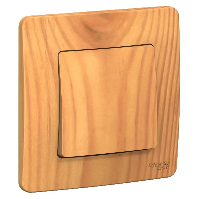 BLANCA скрытой установки одноклавишный выключатель (cх.1), 10A, 250B, ясень Systeme Electric BLNVS010105