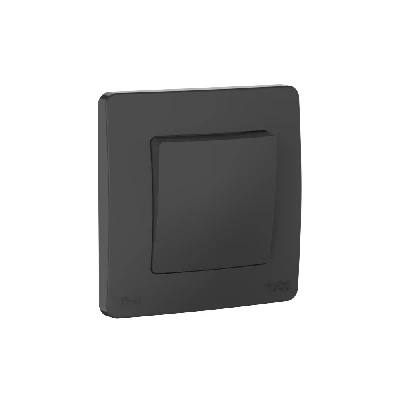BLANCA С/У IP44 1-клавишный ПЕРЕКЛЮЧАТЕЛЬ (сх.6), 10AX, 250В, АНТРАЦИТ Systeme Electric BLNVS410606