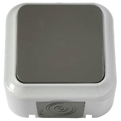 Беларусь Выключатель одноклавишный IP54 наружный БелТИЗ А1 6-222(03) Выключатель А1 6-222(03)