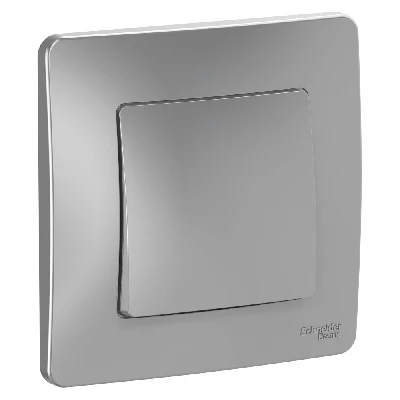 BLANCA скрытой установки одноклавишный переключатель (cх.6), 10A, 250B, алюминий Systeme Electric BLNVS010603