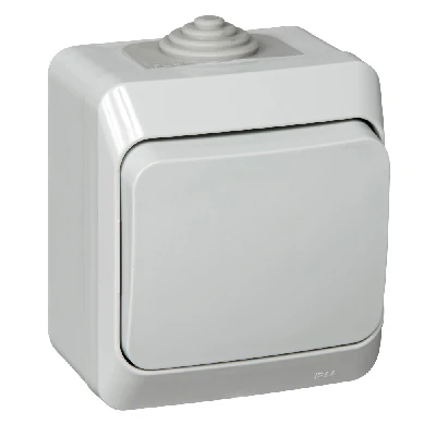 ЭТЮД Выключатель одноклавишный наружный IP44 серый Systeme Electric BA10-041C