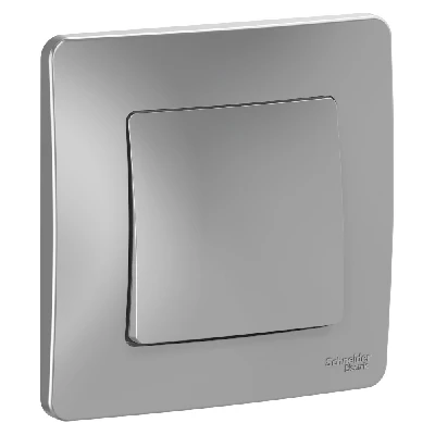 BLANCA скрытой установки одноклавишный выключатель (cх.1), 10A, 250B, алюминий Systeme Electric BLNVS010103