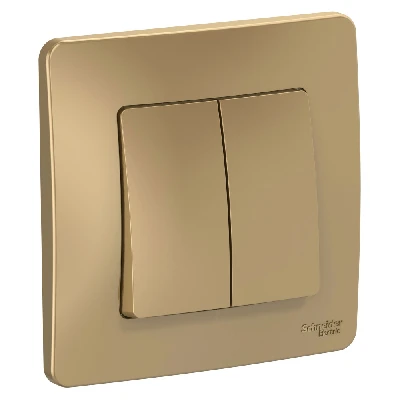 BLANCA скрытой установки двухклавишный выключатель (cх.5), 10A, 250B, титан Systeme Electric BLNVS010504