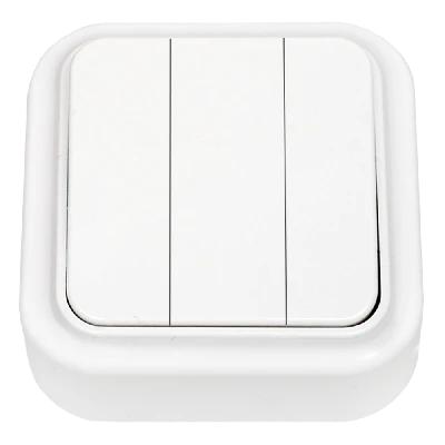 Беларусь Выключатель трехклавишный наружный БелТИЗ А05 6-137 Выключатель А05 6-137