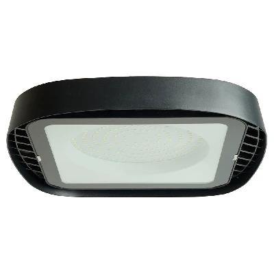 Светильник светодиодный ДСП-200вт 6400К 120 гр. IP65 FERON AL1005 48665