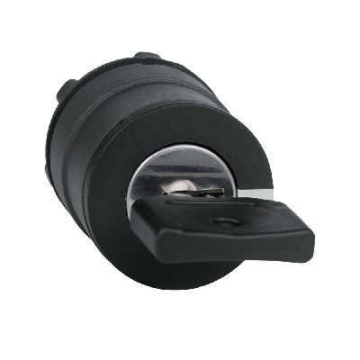 Головка перекл OptiSignal D22 A5-SK-2 2 позиции с ключем пластик ZB5AG2 КЭАЗ 332271