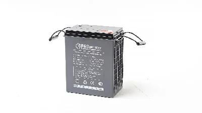 Аккумулятор тяговый PROBATTERY HLC6-300