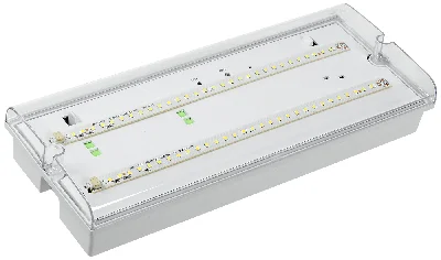 Светильник аварийный ДПА 5042-3 3ч универсальный IP65 IEK LDPA0-5042-3-65-K01