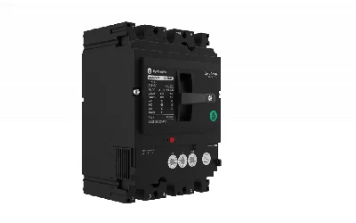 АВТ.ВЫКЛ SYSTEMEPACT CCB100 50KA 3P3D TMD25 РЫЧАГ Systeme Electric SPC100N025L3DF